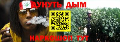 индика Комсомольск-на-Амуре
