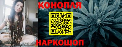 индика Комсомольск-на-Амуре