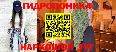индика Комсомольск-на-Амуре