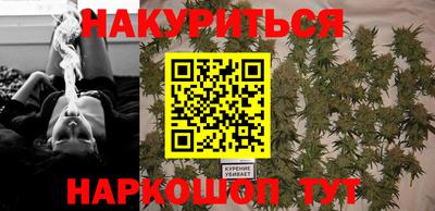 крисы Коммунар