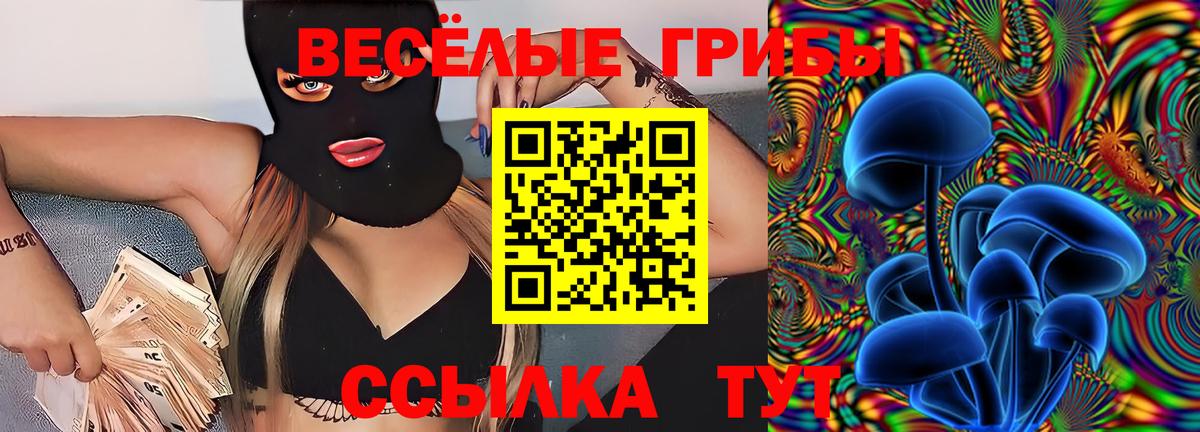 Котельники  Псилоцибиновые грибы мухоморы  Вход с VPN 